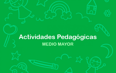 Protegido: Actividades pedagógicas